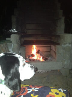fireplace dog