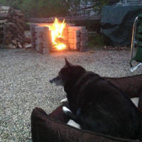 dog resting by Precast Outdoor Fireplace