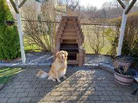 fireplace dog